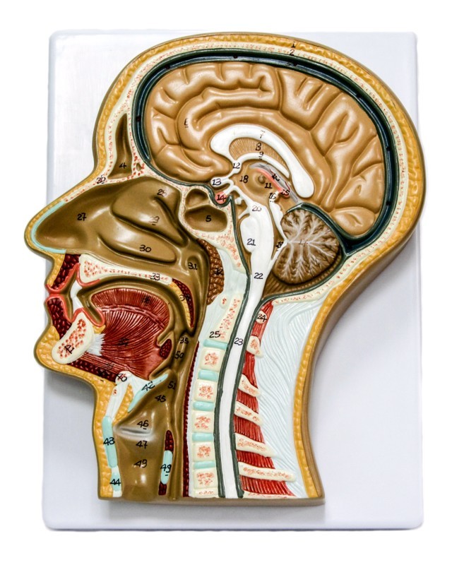 Барельефные модели