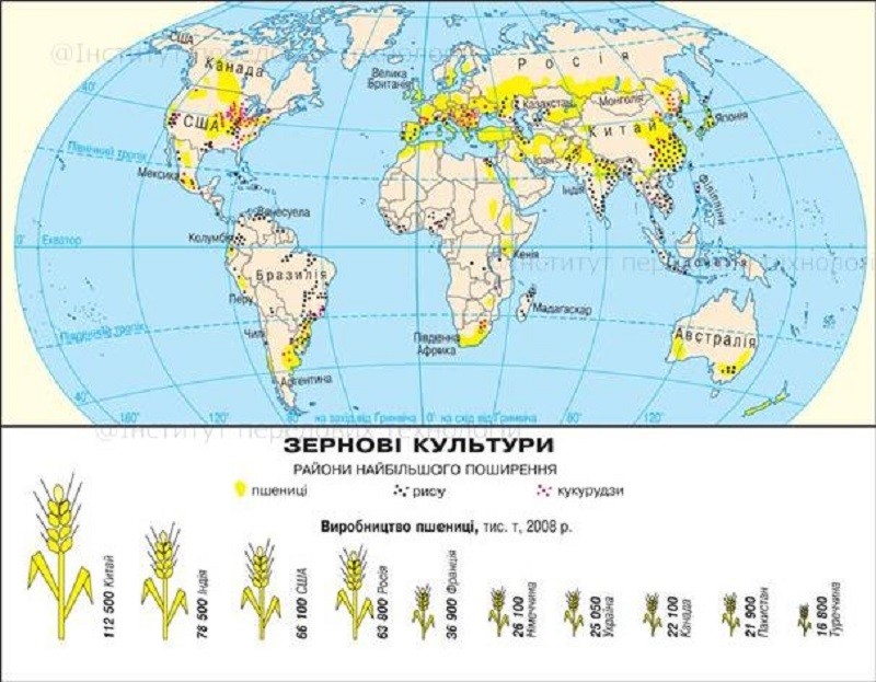 Рассмотрите карту на рисунке 204 перечислите культуры выращиваемые в индии кроме риса и пшеницы