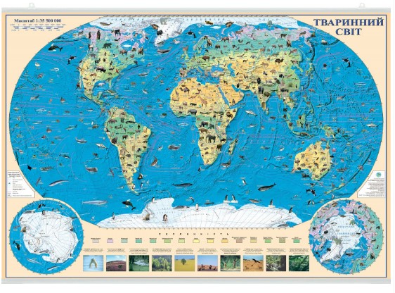 Карты мира, атласы